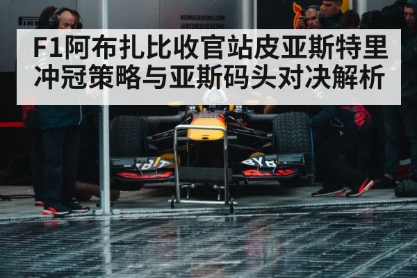 formula 1 pit stop crew（b sports）