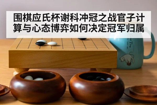 go board game stones(b sports)